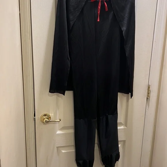 Zorro Halloween costume. - Picture 2 of 6